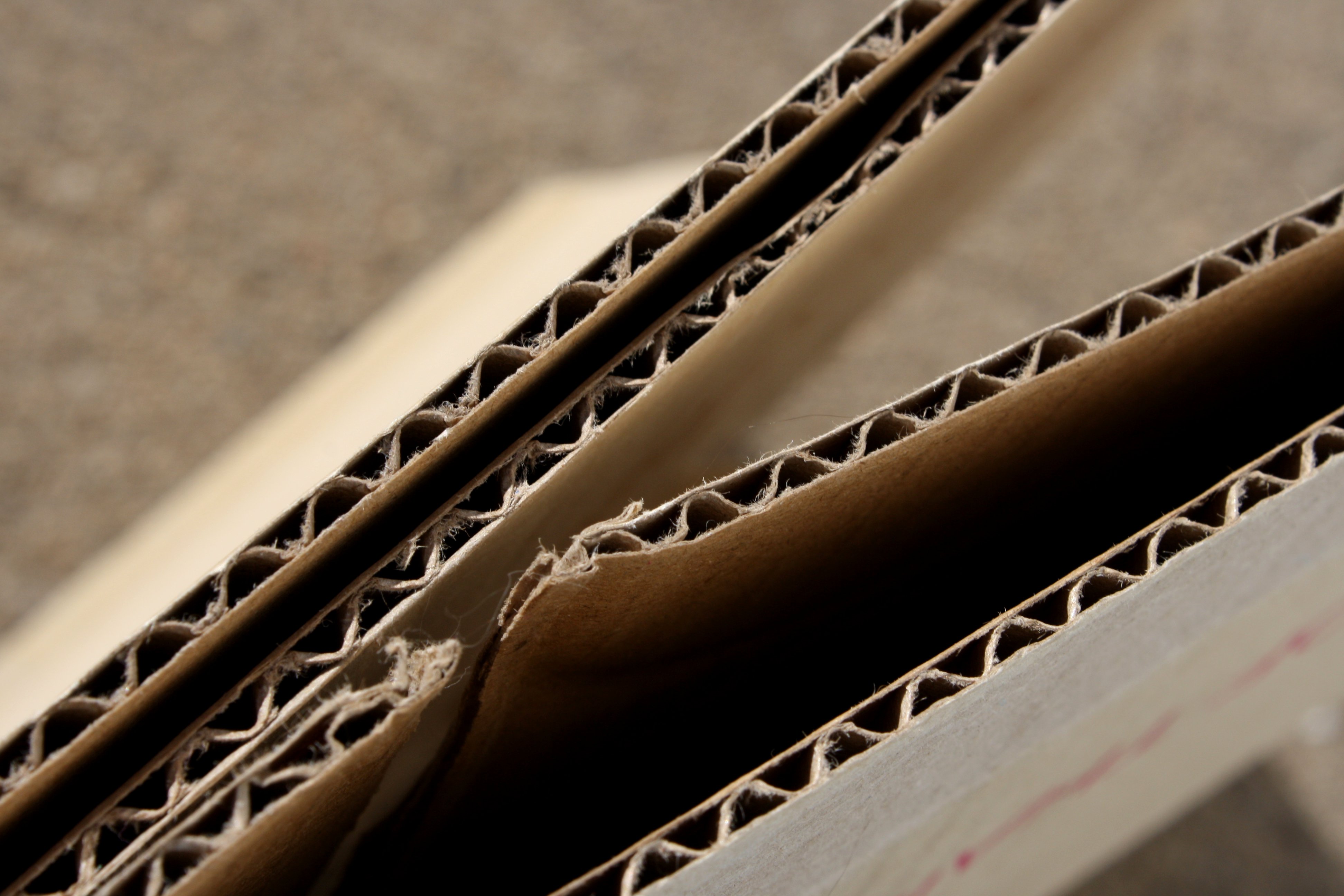 Corrugated carton flute close-up